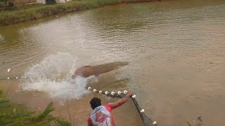 AINDA BEM QUE FOI FILMADO SENÃO SÉRIA MAIS UM MENTIROSO! pirarucu gigante