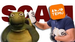 I GOT SCAMMED BY TEMU