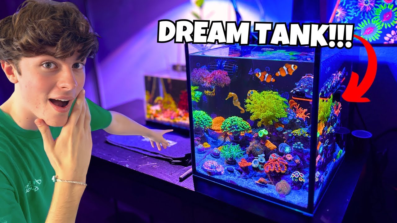 HOW To Have Your DREAM AQUARIUM YouTube