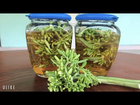 Video CÁCH NGÂM HOA ĐU ĐỦ ĐỰC VỚI MẬT ONG # GÓC BẾP HOÀNG DUY - youtube