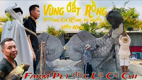 Thăm vườn Pet và Cá Cảnh siêu độc lạ của Vua Cá Rồng Việt Nam Hoàng Mạnh Long - Thái Salem vê lốc