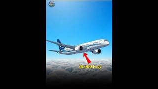 How Do Plane Toilets Really Work! 😱