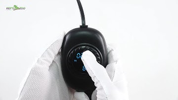 🔧 How to Use the ReptiZoo PID Mini Timing Thermostat (TC03) | Setup & Operation Guide