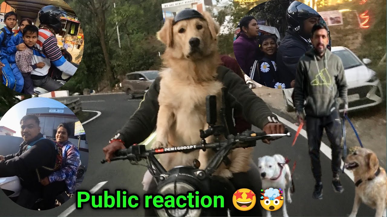 Short ride with Simba 🐶|| public reaction 🤩😍 