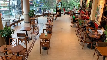 Các mẹo bố trí chậu cây xanh trang trí trong nhà hàng cafe một cách khoa học - Kho Tư liệu Xây dựng