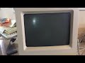 Screen flicker Macintosh Classic ii Mac Classic 2