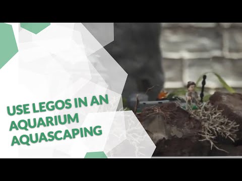 can-you-really-use-legos-in-an-aquarium-aquascaping-set-up-with-liam-awesome-legends-tipps-tricks