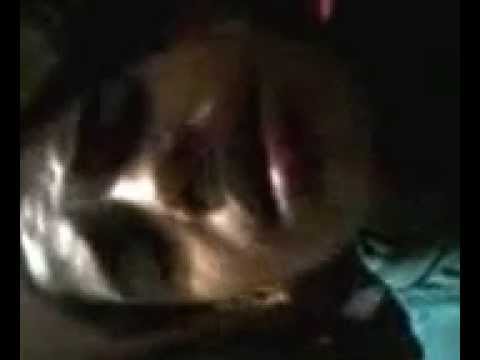 يا حبيبي يا رسول الله محمد تركي