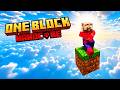 SOBREVIVÍ 100 DIAS en un ONEBLOCK HARDCORE