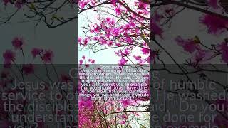 The Humility Of Jesus 982