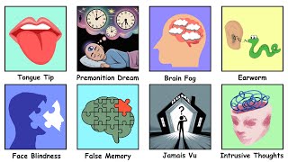 Every Weird Brain Glitch Finally Explained in 9 Minutes