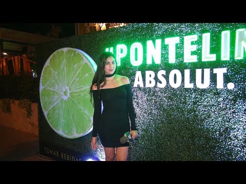 Absolut Lime