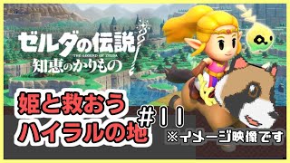 【ゼルダの伝説　知恵のかりもの】辛口縛り 知恵なら任せろー（タヌタヌ）#12（ネタバレ有・最終回　ラスト、集め忘れ回収まで）