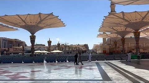 الهدوء، الجمال، والسكينة.. جولة لا تُنسى داخل المسجد النبوي الشريف 🕊️