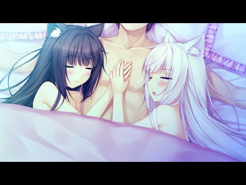 Neko Visual Novel