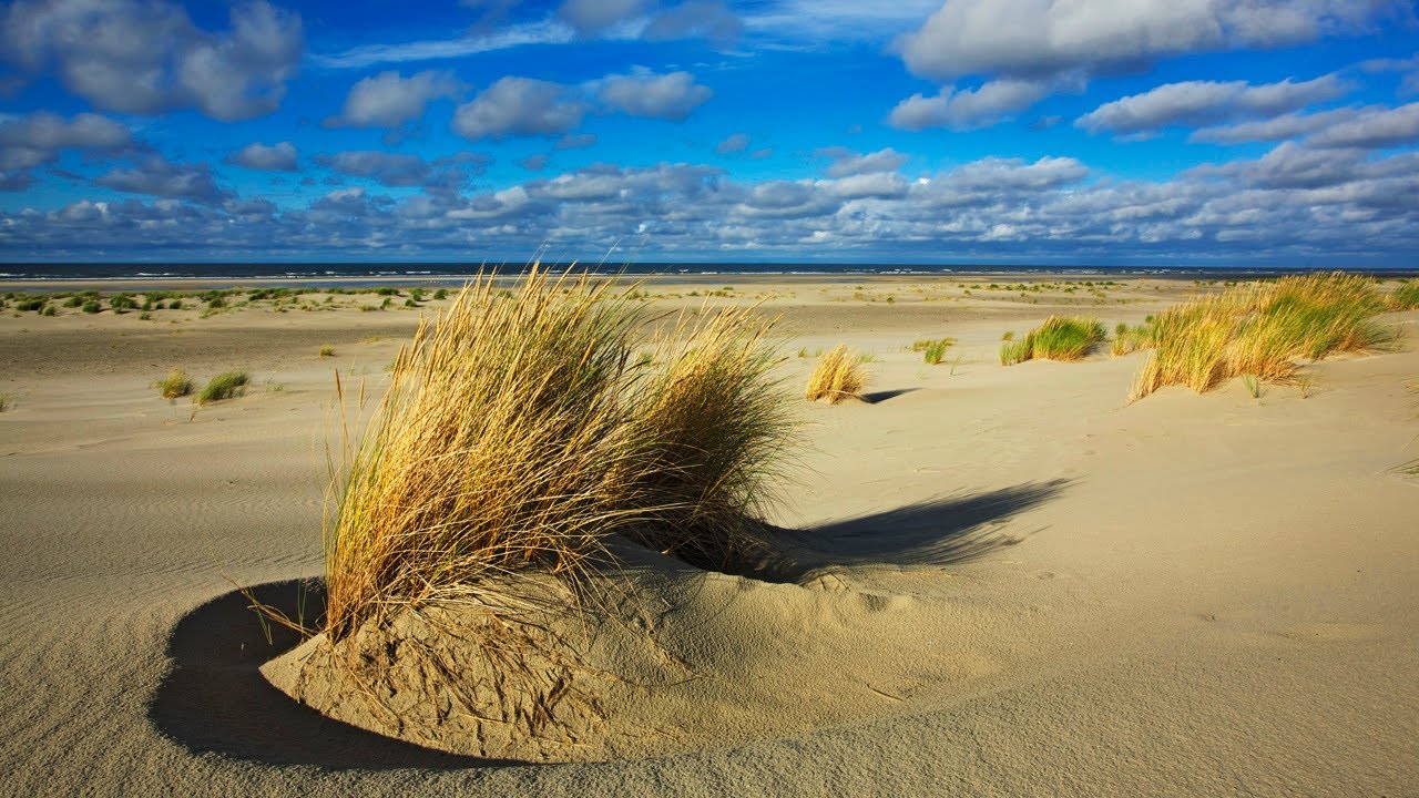 Memories of the sea: JUIST, die zauberhafte Insel