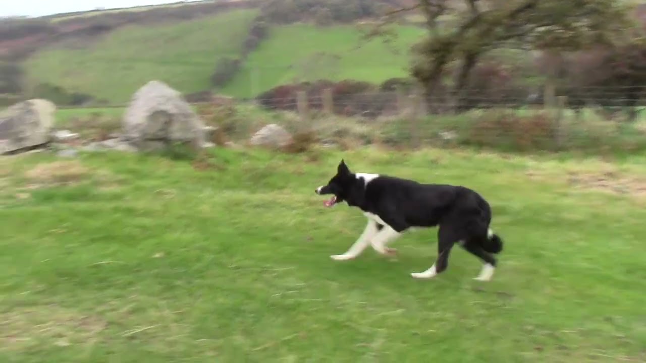 Plascwtta Jen Skipton