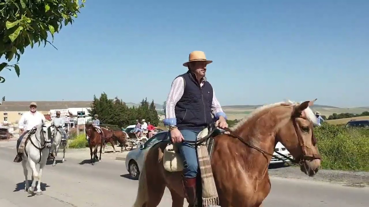 2022-04-30 DÍA DEL CABALLO EN ARCOS DE LA FRONTERA 2022