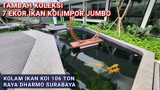 KOLEKSI 7 EKOR IKAN KOI IMPOR JUMBO | KOLAM KOI 106 TON RAYA DHARMO SURABAYA