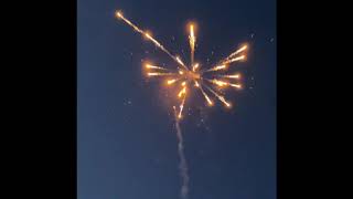 Robot Age - 200G Cake - Magnus Fireworks