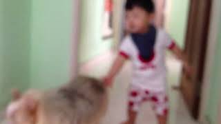 IMG 0375