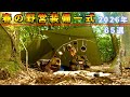 【ソロキャンプ道具】春の野営装備一式2026年