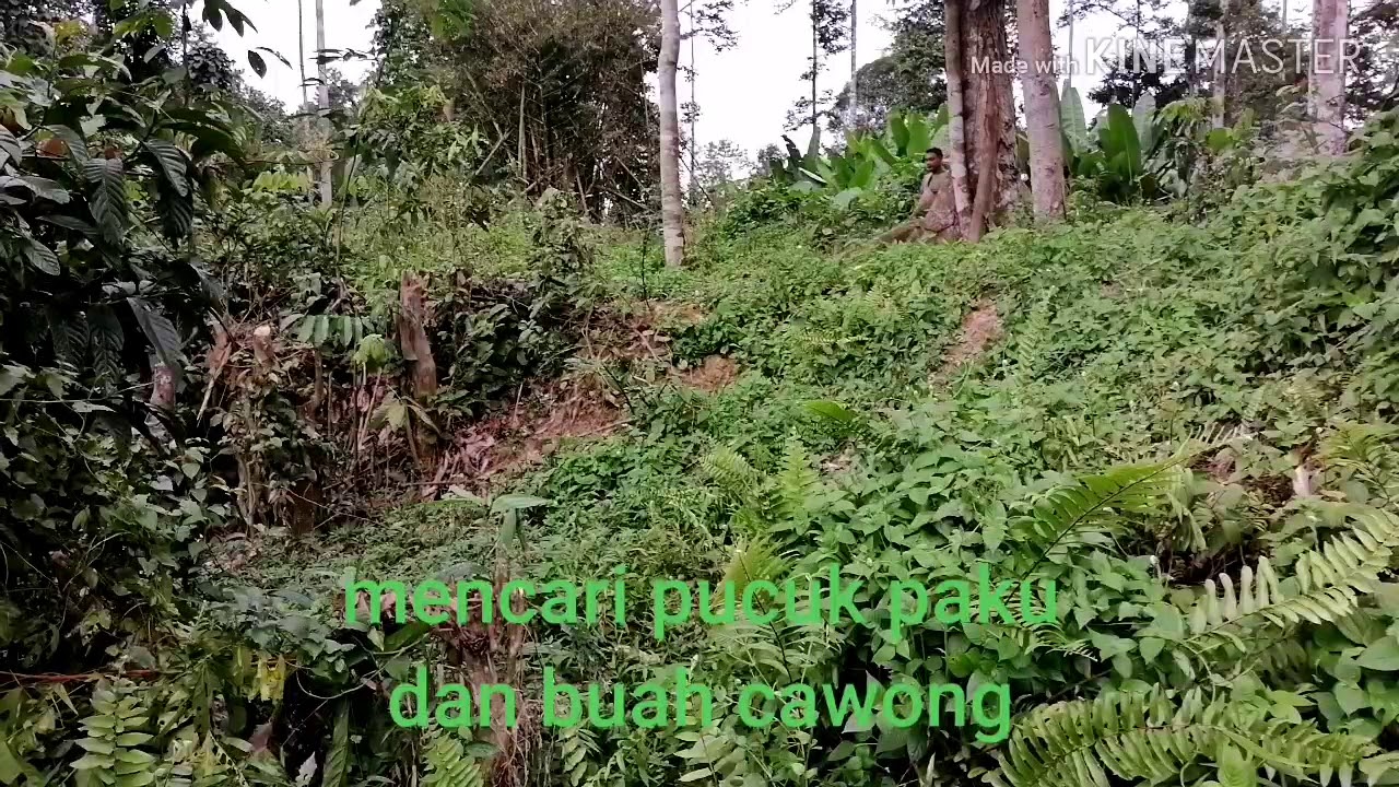 Kehidupan orang kampung 