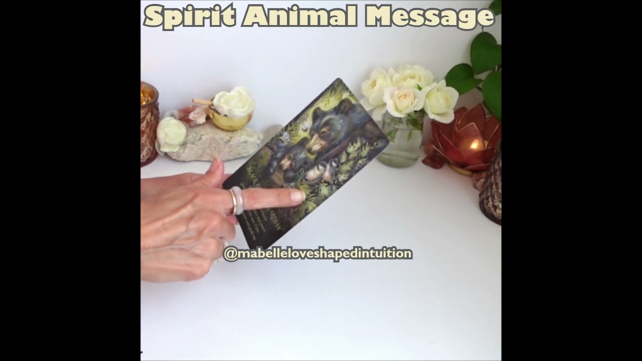 Message of the Day~Thursday Short~Spirit Animal Oracle Card