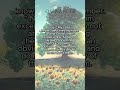 QURAN 18 "Al-Kahf" (21-24) #quran #islam #palestine #allah