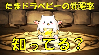 【パズドラ】たまドラベビーの覚醒率が知らない間に上がっていたかもしれない？