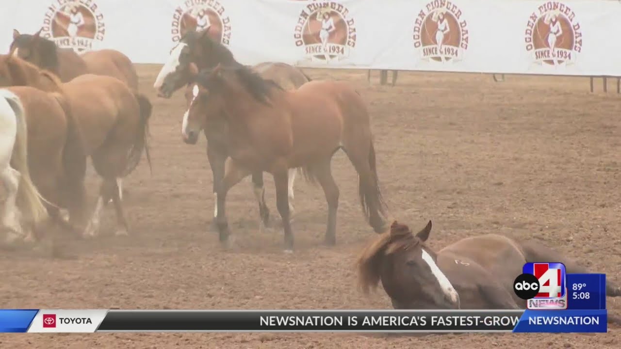 Ogden Pioneer Days Rodeo