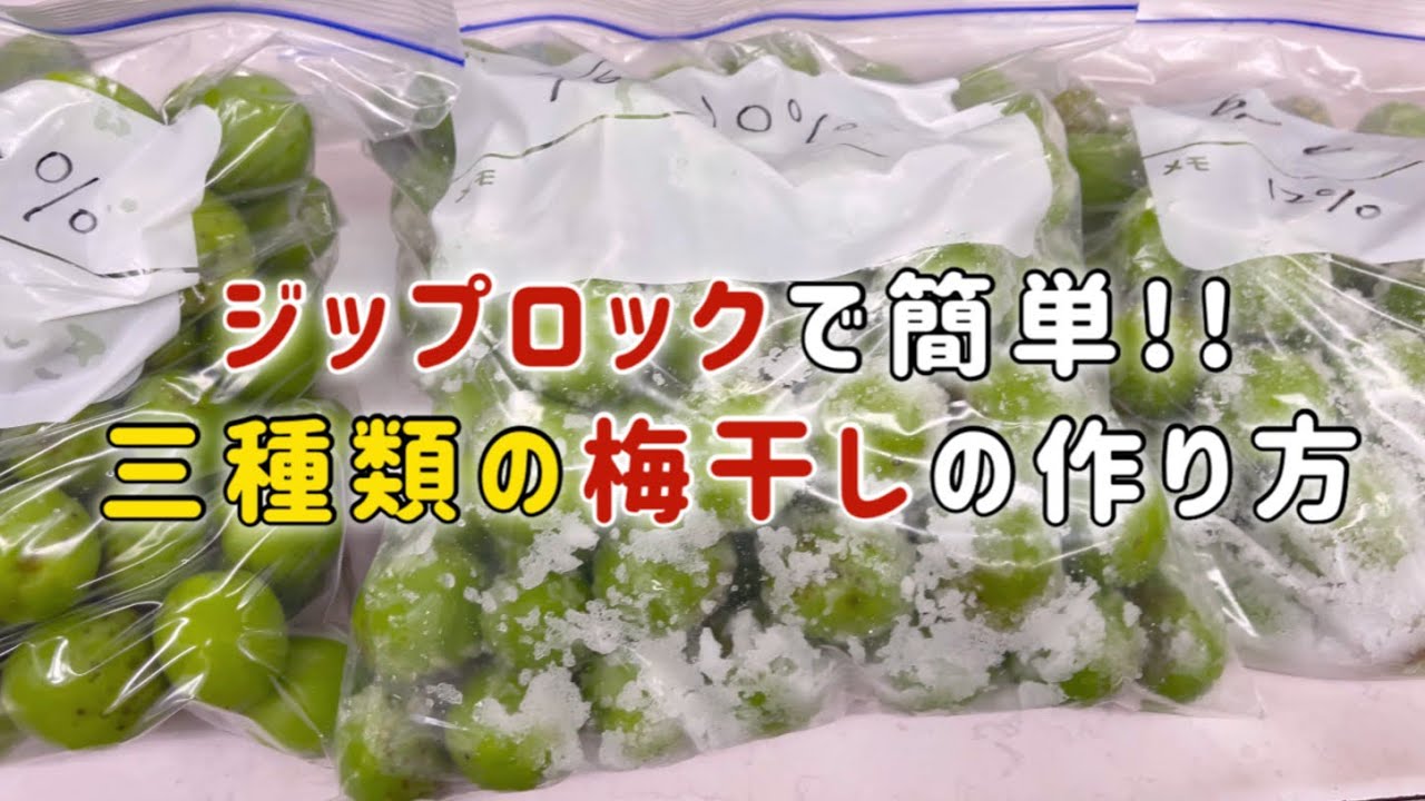 Foolproof Ziploc Umeboshi (Pickled Plum) Recipe: Easy to Make with
