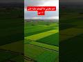هاد الشي كيدار فالمغرب بصمت Ai Video 