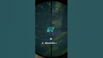 Top 5 Species for FAST CASH!!! 🤑🤑🤑- Call of the Wild #Shorts