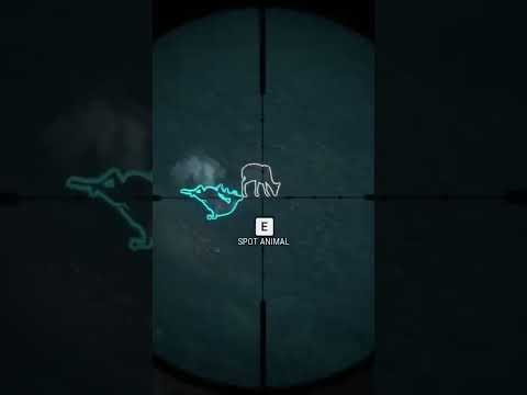 Top 5 Species For FAST CASH Call Of The Wild Shorts