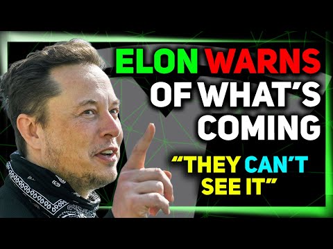 Auto Exec: The Elon Problem / Major HW3 Update / New Model Y Timeline