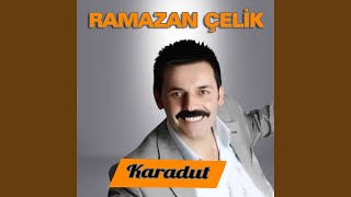 Şu Tokatın Evleri / Alaplının Üstünde (Potpori)