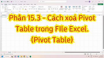 Phần 15.3 - Cách xoá Pivot Table trong FIle Excel.(Pivot Table)