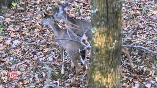 Types of Deer Hunting Stands | Tractor Supply Co.