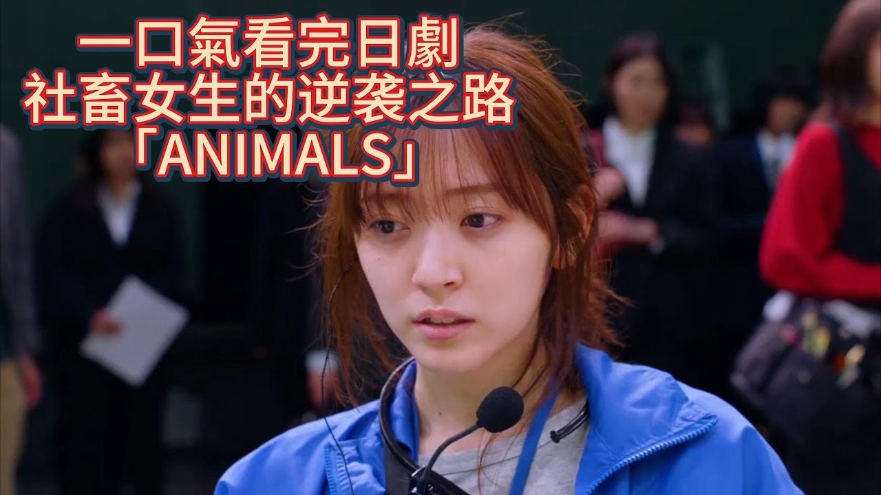 一口氣看完日劇 社畜女生的逆袭之路 「ANIMALS」如果你有梦,请即刻出发,这世上没什么比自己想做的事情更重要了 - YouTube
