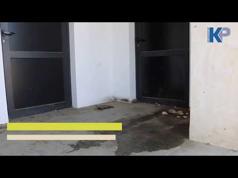 გელათის მონასტერთან ანტისანიტარიაა