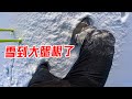 这么厚的雪，不干点啥可惜了，冬季新疆雪地撒欢儿