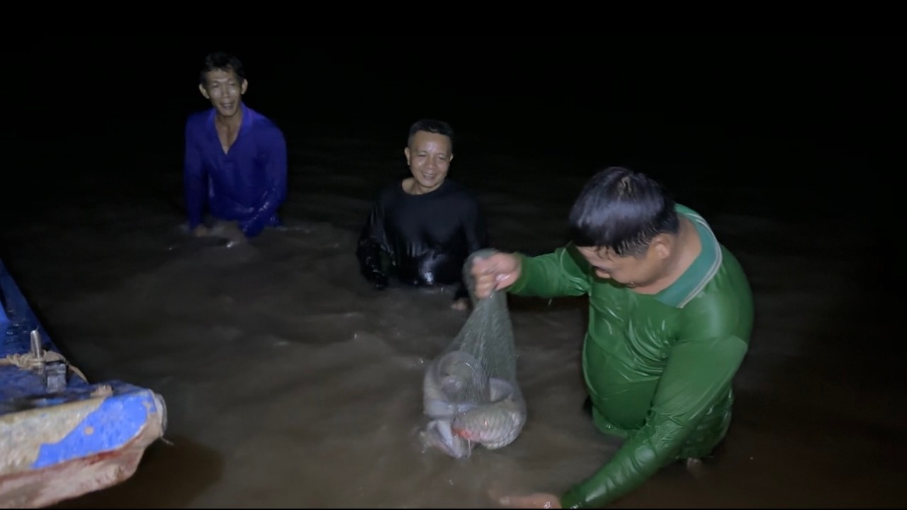 3h Sáng Đi Săn Hàng Kịch Khung Bữa Nay | Cù Lao Dung Vlogs