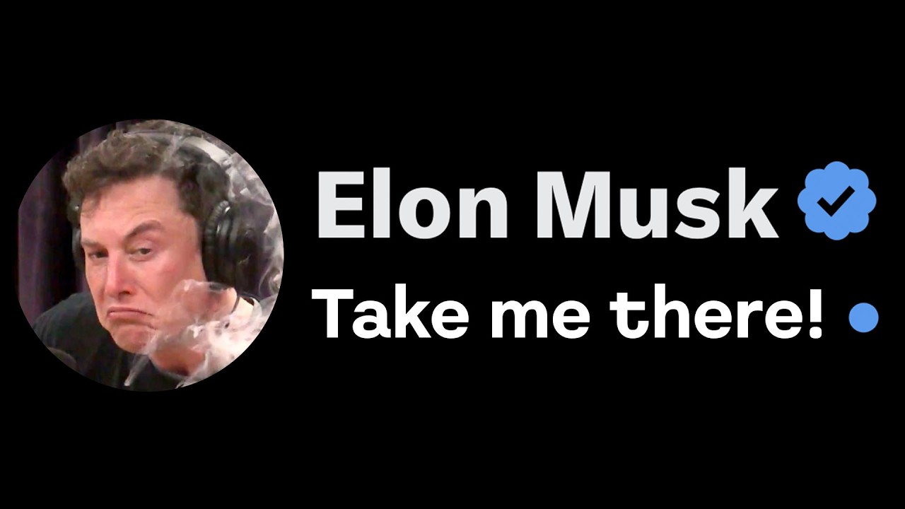 When Elon Musk Actually Replies