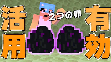 マイクラ スイッチ版 エンダードラゴン 孵化のしかた