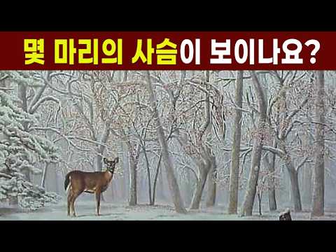 아이큐 <strong>150</strong> 이상은 3마리의 사슴이 보입니다