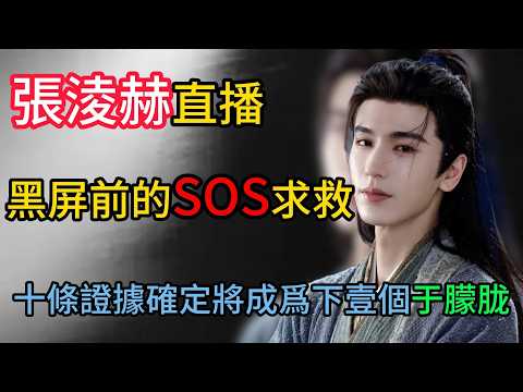 從于朦胧到張淩赫：內娛“靈魂契約”曝光！數字外殼正在取代活生生的藝人？#張淩赫 #于朦胧