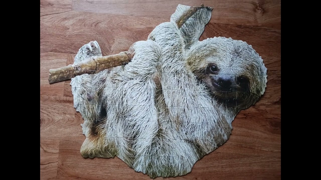 Puzzle # 1,581 -  I AM LiL' SLOTH