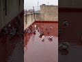 #حسبي_الله_ونعم_الوكيل