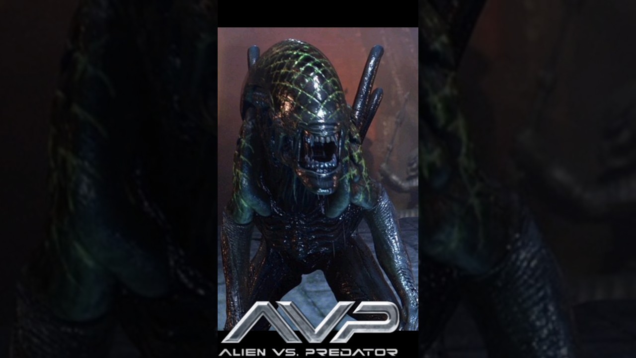 quien era el xenomorfo grid historia ALIEN VS PREDATOR- (2004)-